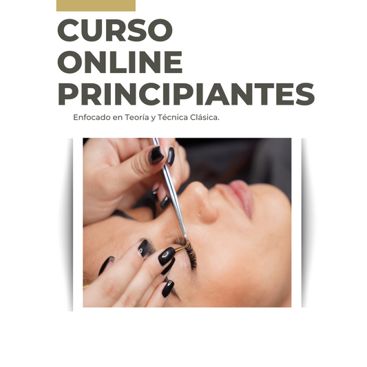 Curso Online para Principiantes